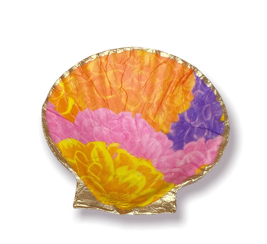 Seashell - Sunshine All Around